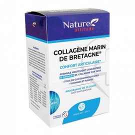 etc Britney Joint Comfort Nature Attitude Marine Collagen 450g / 브리트니 조인트 컴포트 네이처 애티튜드 마린 콜라겐 450g