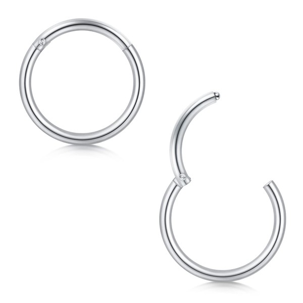 Briana Williams 2pcs Hinged Nose Ring Segment Lip Helix Septum
