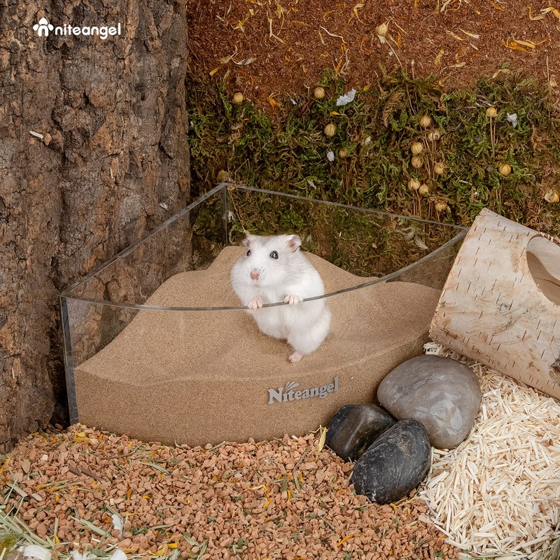 Niteangel Hamster Desert Bath Sand | No-Dust Bath or Potty