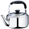Bestco ND-5071 Neo Grand Van Stainless Steel Kettle 1.1 gal