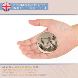 Destination Vinyl ltd Magnet for Refrigerator, Fridge - Cute Climbing Lazy Sloth Animal for Office, Cabinet and Whiteboard, Magnetic Stickers, 8257