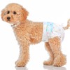 Ambreview 50 PCS Dog Diapers Female, Ultra-Absorbent Puppy Diapers for