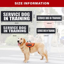 Service Dog Patches, 2Pack Black Removable Vest Patch for Dogs, Dog Patches with Hook Backing for Harness, Service Dog in Training-M