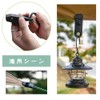 Samcos Tent Clip, D-Ring, Locking Carabiner, Set of 4, Black,