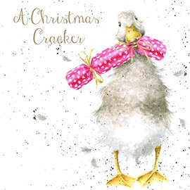 Wrendale Designs by Hannah Dale - Christmas Cracker - Christmas Card Box Set - Pack of 8