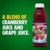 Tropicana Cranberry Juice Drink, 15.2 Ounce Bottle (Pack of 12)
