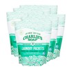 Charlie's Soap - Unscented Powdered Laundry Packets 30 Count (6