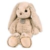 Histoire d 'Ours Plush Friends Cuddly Toy Rabbit Rabbit 40