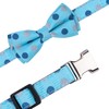 Rhea Rose Bowtie Dog Collar Blue Polka Dots Small