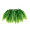 Yuelulala Hula Skirt Palm Leaf Grass Skirts Dress up Accessories