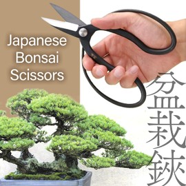 YAMASAN KYOTO UJI Japanese Suiryu Bonsai Scissors - Traditional Hasami Pruning Shears, Japanese Bonsai Garden Tools, Made in Japan (7.87inch)