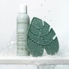 EcoTools - Almohadilla limpiadora de brochas de maquillaje