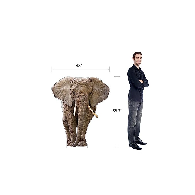 Life Size Cardboard Cutout Standup | Waterproof | Animals -