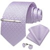 DiBanGu Silk Ties for Men Formal Plaid Check Necktie and