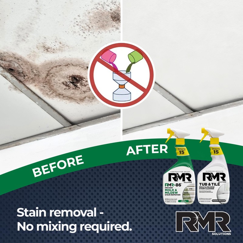 RMR Mold Stain Eraser Max Pack – No-Scrub Tub &