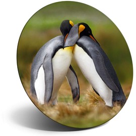 Destination Vinyl ltd Magnet for Refrigerator, Fridge - Cute Penguin Hug Birds Arctic for Office, Cabinet and Whiteboard, Magnetic Stickers, 14579