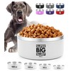 Tuff Pupper Heavy Duty Insulated Dog Bowl | Double Wall