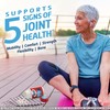 Move Free Advanced Glucosamine Chondroitin MSM + Vitamin D3 Joint