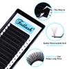 Self-Fanning Eyelashes, Volume Eyelashes, 0.07 Thickness, DD Curl, 16 mm,