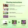 Outsidepride Digitalis Purpurea Dalmatian Purple Foxglove Seeds – 50 Pcs