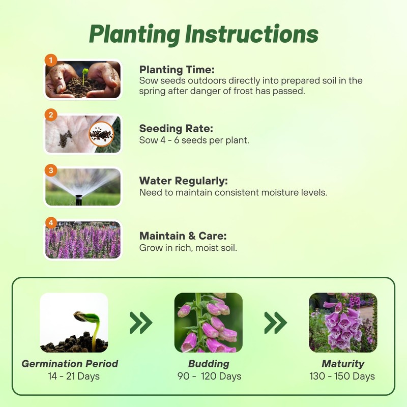 Outsidepride Digitalis Purpurea Dalmatian Purple Foxglove Seeds – 50 Pcs
