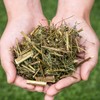 국산 말린 개똥쑥 600g 쑥차 건 건조 마른 뜸 한방