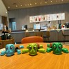 JOD® Turtle Cup Holder,Turtle Coaster with Funny Expression, Cup Holder