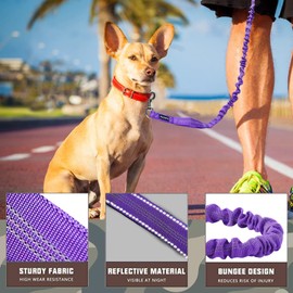 AUROTH Heavy Duty Bungee Dog Leash for Medium Large Breed Dogs, No Pull for Shock Absorption with Car Seat Belt, 2 Padded Handles 4.5FT 6FT Training Dog Leash