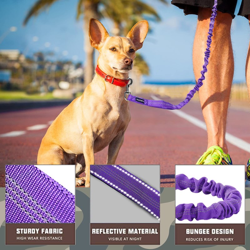 AUROTH Heavy Duty Bungee Dog Leash for Medium Large Breed