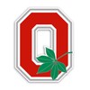 Ohio College Football Sticker Decal Notebook Car Laptop 3.5"x5.5" (Color)