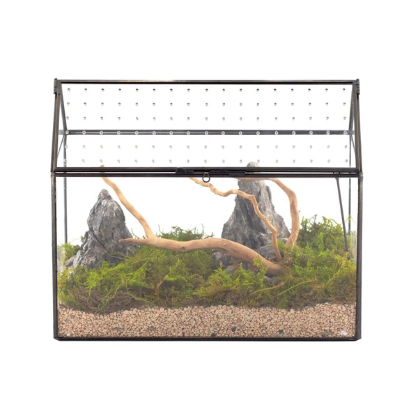 NCYP House Shape Glass Terrarium with Acrylic Lid - 10.2x5.9x8.2