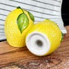 Lemon Salt and Pepper Pots Yellow Ceramic Kitchen Colourful Fruit