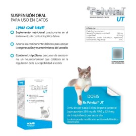 Holland Felvital Ut 100 Ml Gatos Salud Natur Tracto Urinario