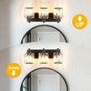 Haolaike 3 Lights Crystal Bathroom Vanity Light Modern Black Bathroom