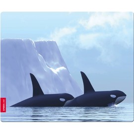 Speedlink Comic Silk,SL-6242-ORCA
