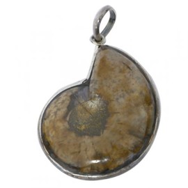 Chic-Net Shell Pendant, Nautilus Shell Pendant Surrounded by 925 Silver, Brown, Approx. 35 x 23 mm (Pendant without Chain), Shell, Shell