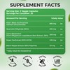 Holistnature NAD+ Supplement, 1,360mg Max Strength Liposomal | Resveratrol, Quercetin,