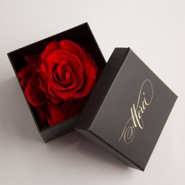 4 Small Preserved Roses that Last Long to Say Thank You as a Fine Flower Box with Gold Lettering MERCI Thank You Gift - Size 6 x 6 x 2 cm (1 Rose, Red)