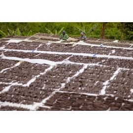 Kiddu - Gourmet Vanilla Beans, 500g Whole Grade A Pods Wrapped in Wax Paper in a Tin