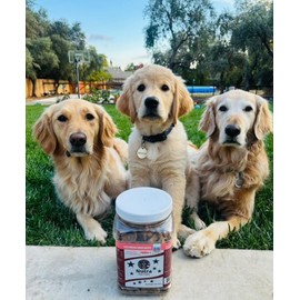 Nutra Dog Treats, Lamb Biscuits, 7 Ingredients, 2 LB Container, Made in USA!