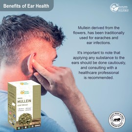 Herbs Botanica Organic Mullein Leaf Tea Loose Leaves Mullein Herb Mullen Respiratory Health, Skin Health, Supports Digestive Health Soothing Sore Throats 4 oz