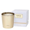 Archipelago Botanicals Winter Frost 3-Wick Boxed Candle, White Birch and