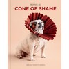 Cone of Shame