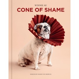 Cone of Shame
