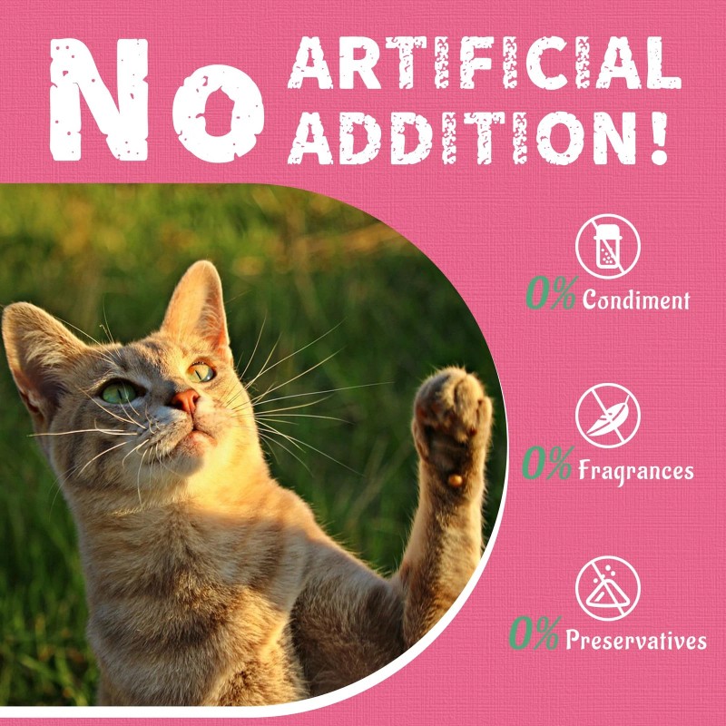 Just Try 13.4 OZ Urinary Tract Cat Treats for Indoor