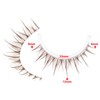 outopen 10 Pairs Brown Lashes Clear Band Brown Manga Lashes