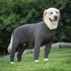 Miaododo Grey Dog Surgery Recovery Suit Female Male for Dogs