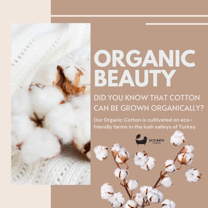 Eco Bath London Organic Cotton Bath Mitt - Pack of