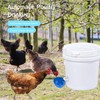 Chicken Waterer Cups, 8 Packs Blue Large Chicken Watering Cups,