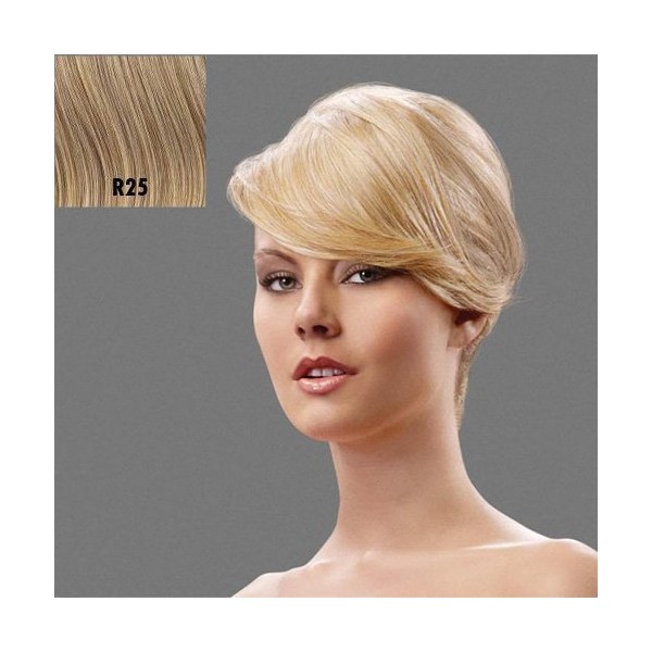 Hairdo Hair Piece Extension Swept Away Bang, R25 Ginger Blonde/med Golden Bonde, 20 Count by Hairuwear